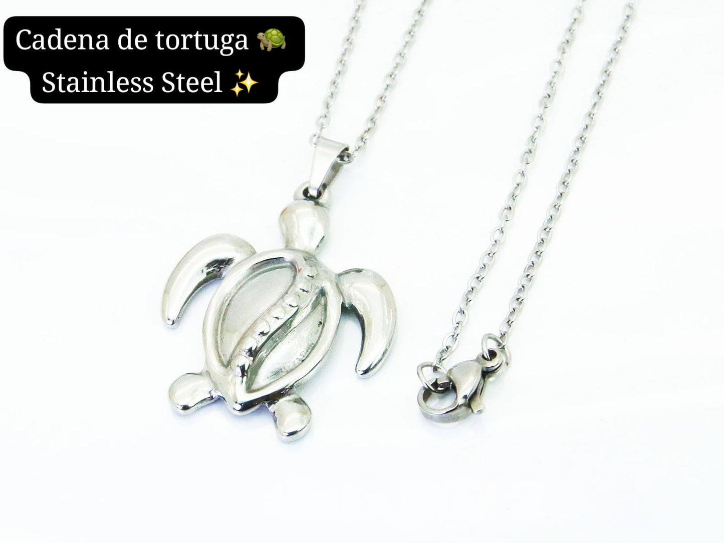 Cadena Tortuga 🐢 (plata)
